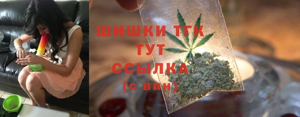 тгк Балахна
