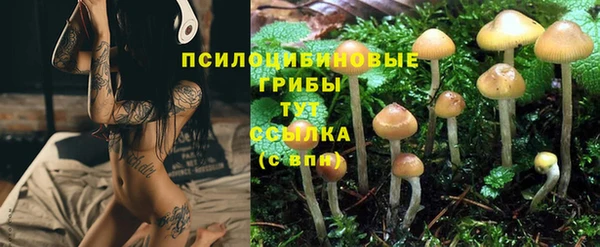 каннабис Баксан