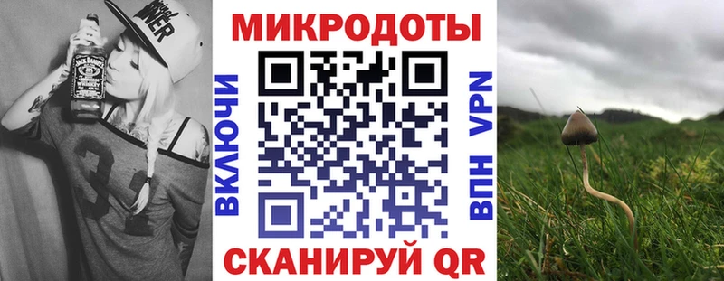 Псилоцибиновые грибы Psilocybine cubensis  Ершов 